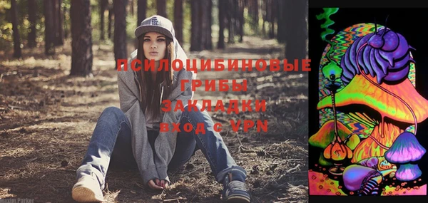 spice Инсар