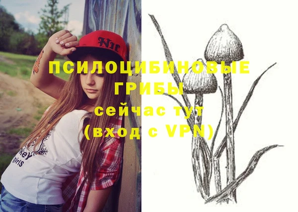 spice Иннополис