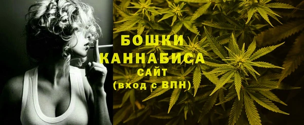 spice Инсар