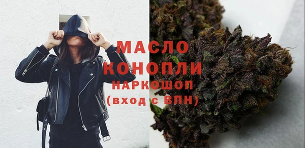 spice Инсар