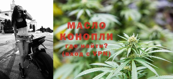 spice Инсар