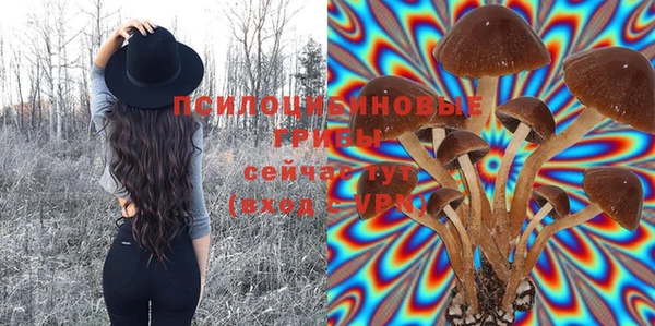 spice Инсар